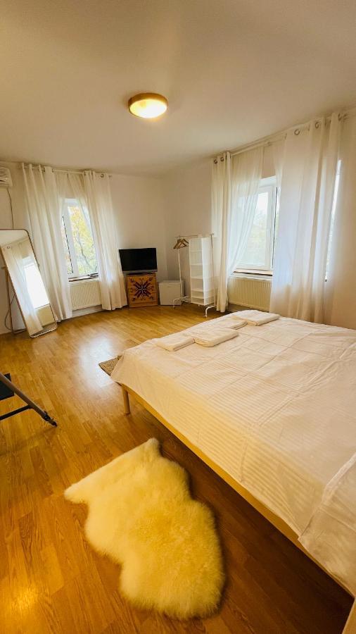 Ferienwohnung Biolocalia House Dobrogea Balotesti Exterior foto