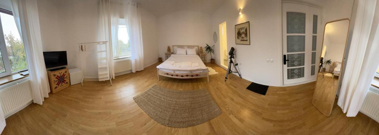 Ferienwohnung Biolocalia House Dobrogea Balotesti Exterior foto