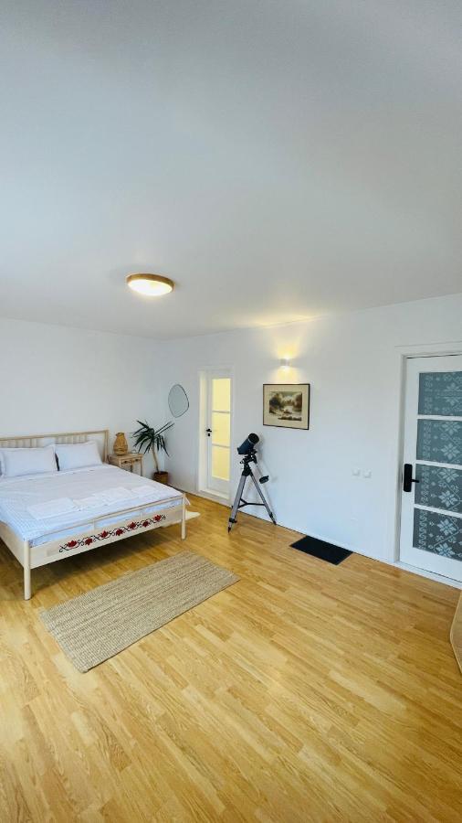 Ferienwohnung Biolocalia House Dobrogea Balotesti Exterior foto